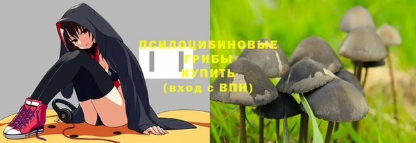 крисы Армянск