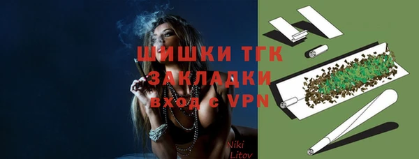 крисы Армянск