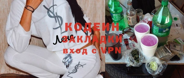 крисы Армянск